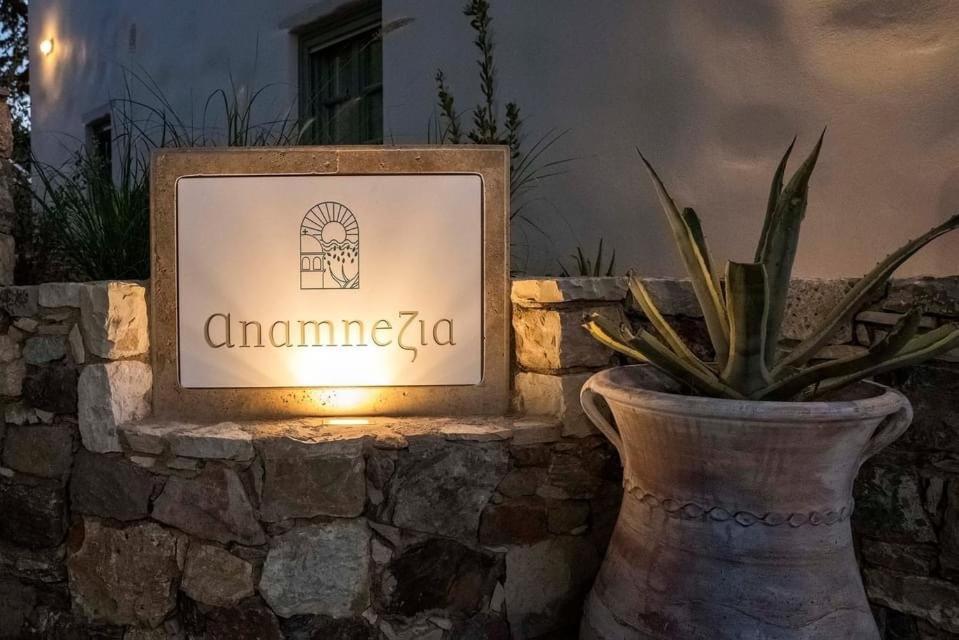 Anamnezia Luxury Suites (Adults Only) Agios Dimitrios  Экстерьер фото